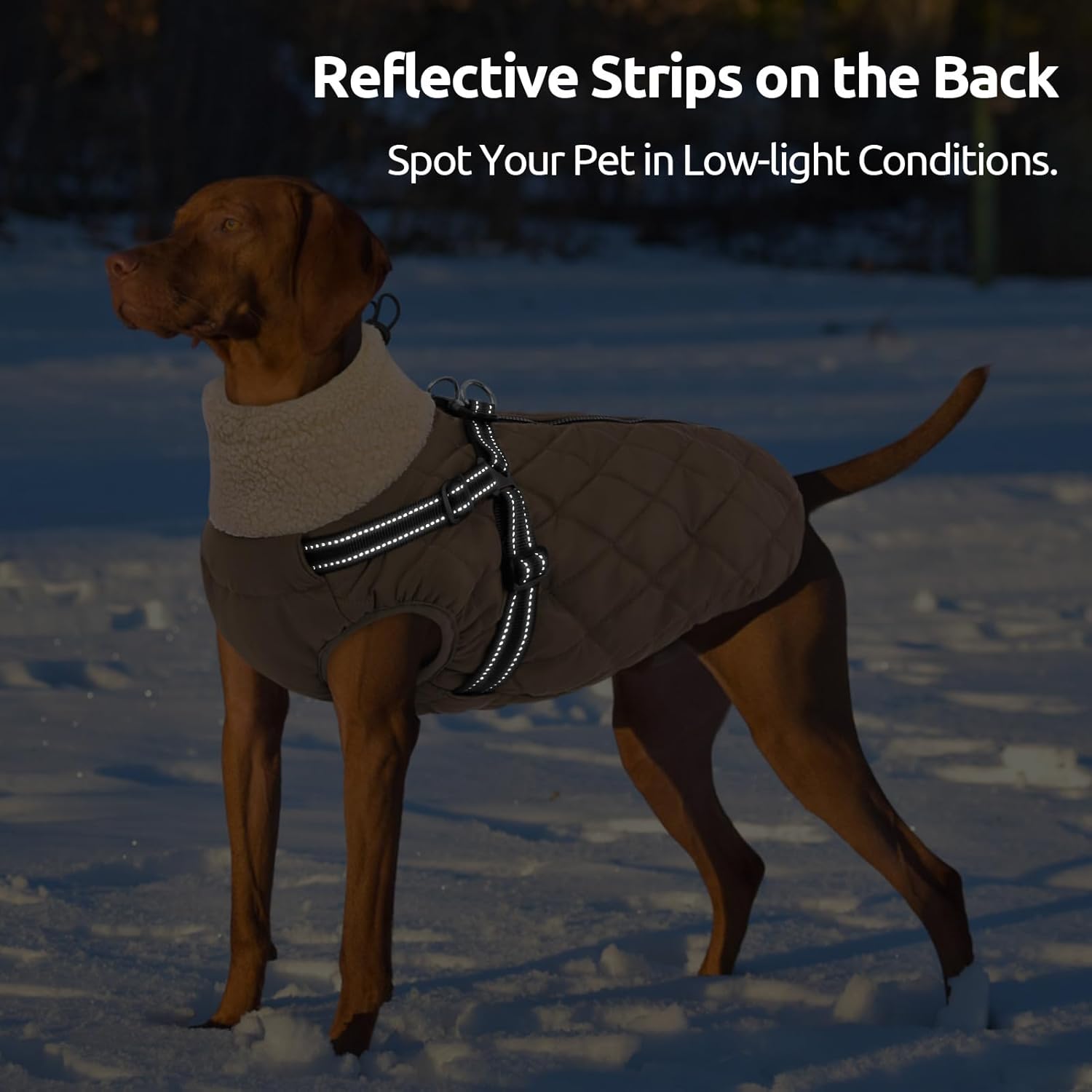 Queenmore Dog Coats for Large Dogs, Dog Jacket, Warm Fleece Winter DogCoat with Harness Built in, Back Zipper Pet Jacket for Large Breeds, Thick Fleece Lining Pet Snowsuit, Brown 2XL - Image 6