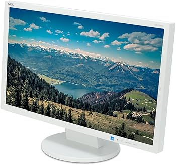 NEC AS221F 21.5インチ モニター NEC AS221F 21.5インチ モニター LCD-AS221F | i-PRO Products