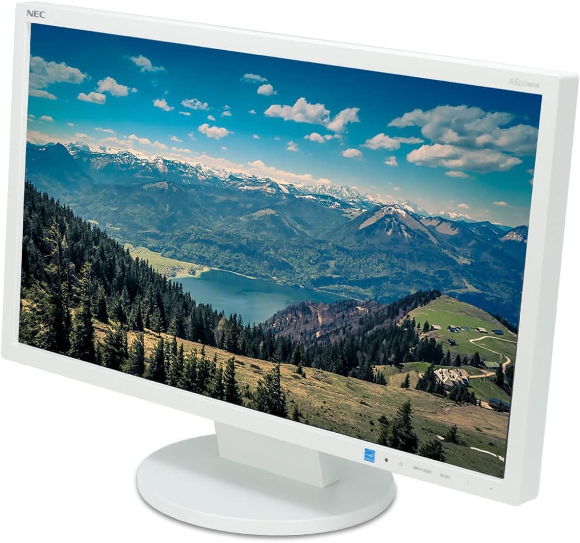 NEC AS221F 21.5インチ モニター LCD-AS221F : ディスプレイ | NEC
