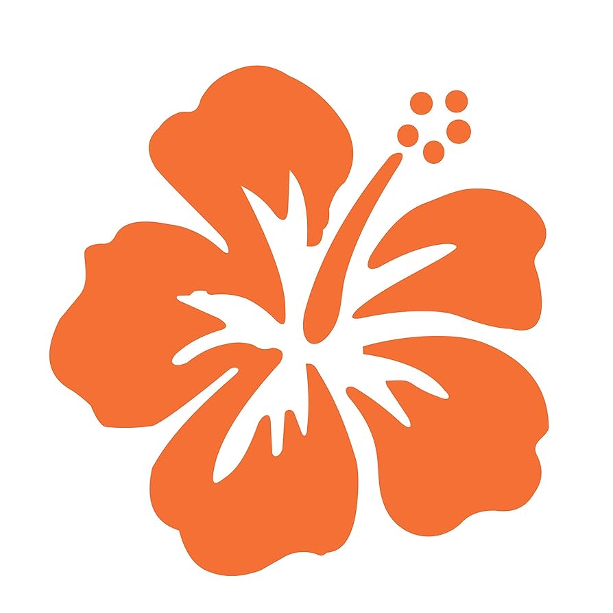 ビュフェ アート作品「Orange Daisys」Hibell Art 証明付き orange-pink-hibiscus-hailey-e-