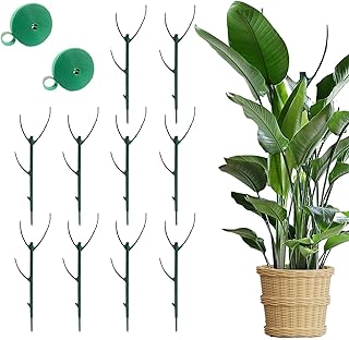 Stackable Monstera Plant Support Stakes