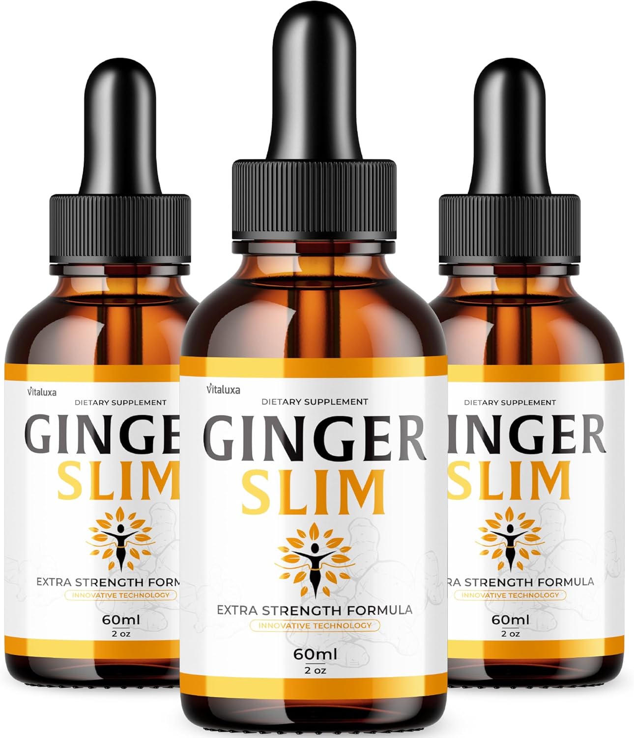 (3 Pack) Ginger Slim Drops, GingerSlim Droppers Supplement Official Premium Formula, Ginger Slim All Natural Liquid Support Advanced Maximum Strength Formula Healthy Wellness Drops Reviews USA (6oz)