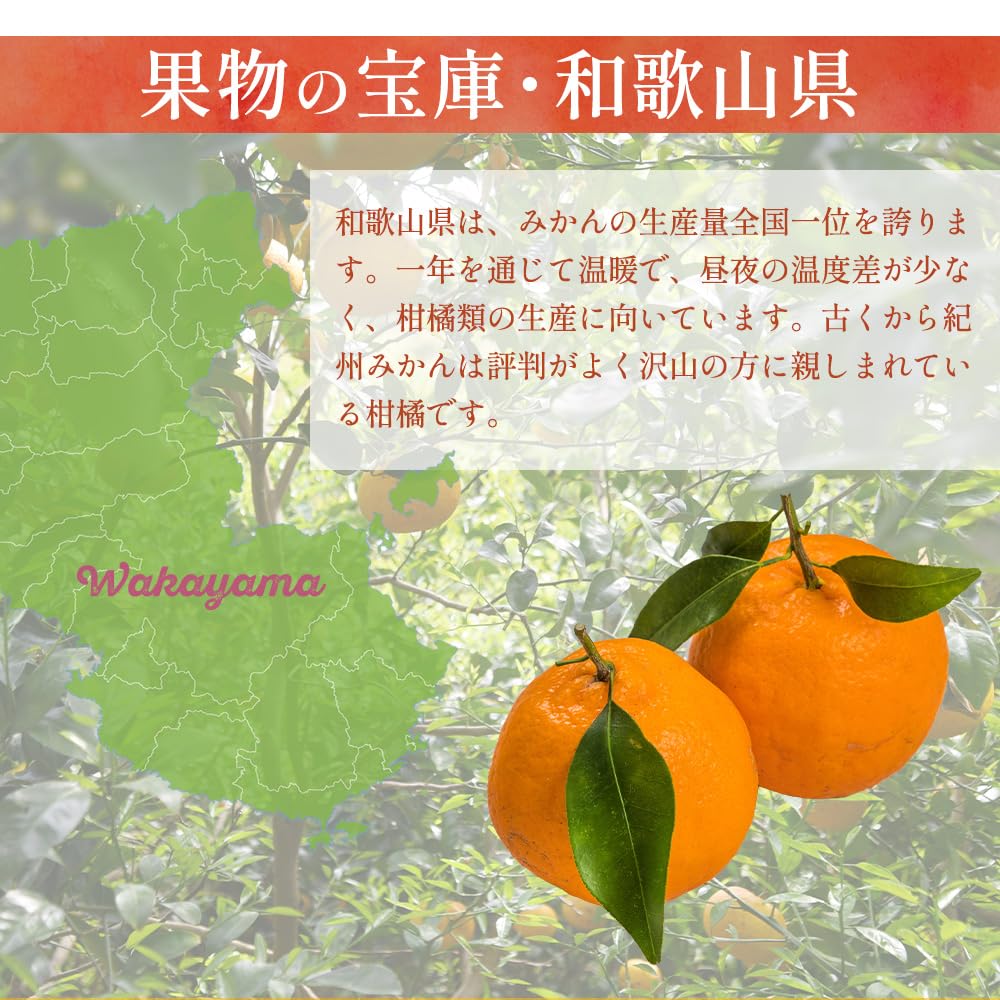 Amazon.co.jp: もりもとや特選 和歌山県産 はるみみかん 秀品 2kg(S
