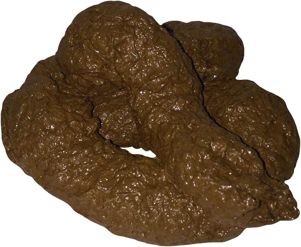 Amazon.com: Aebor 10 Pieces Fake Poo Realistic Fake Turd Floating Poo ...