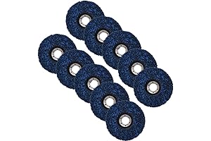 WFLNHB 10-Pack Paint Eater Replacement Discs