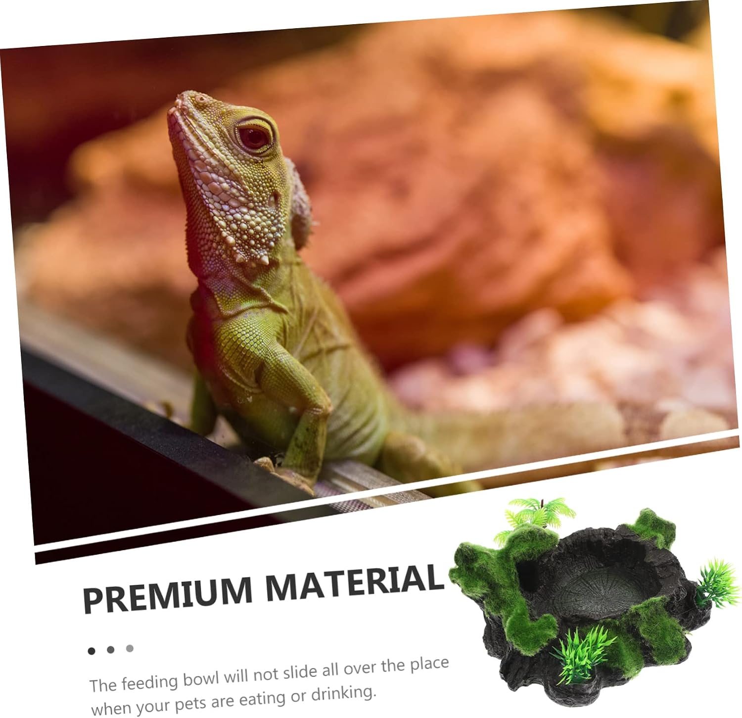 Decorative Reptile Feeding Bowl Resin Terrarium Water Dish for Snakes Lizards Turtles Safe Wear-Resistant Design for Food and Water Storage
