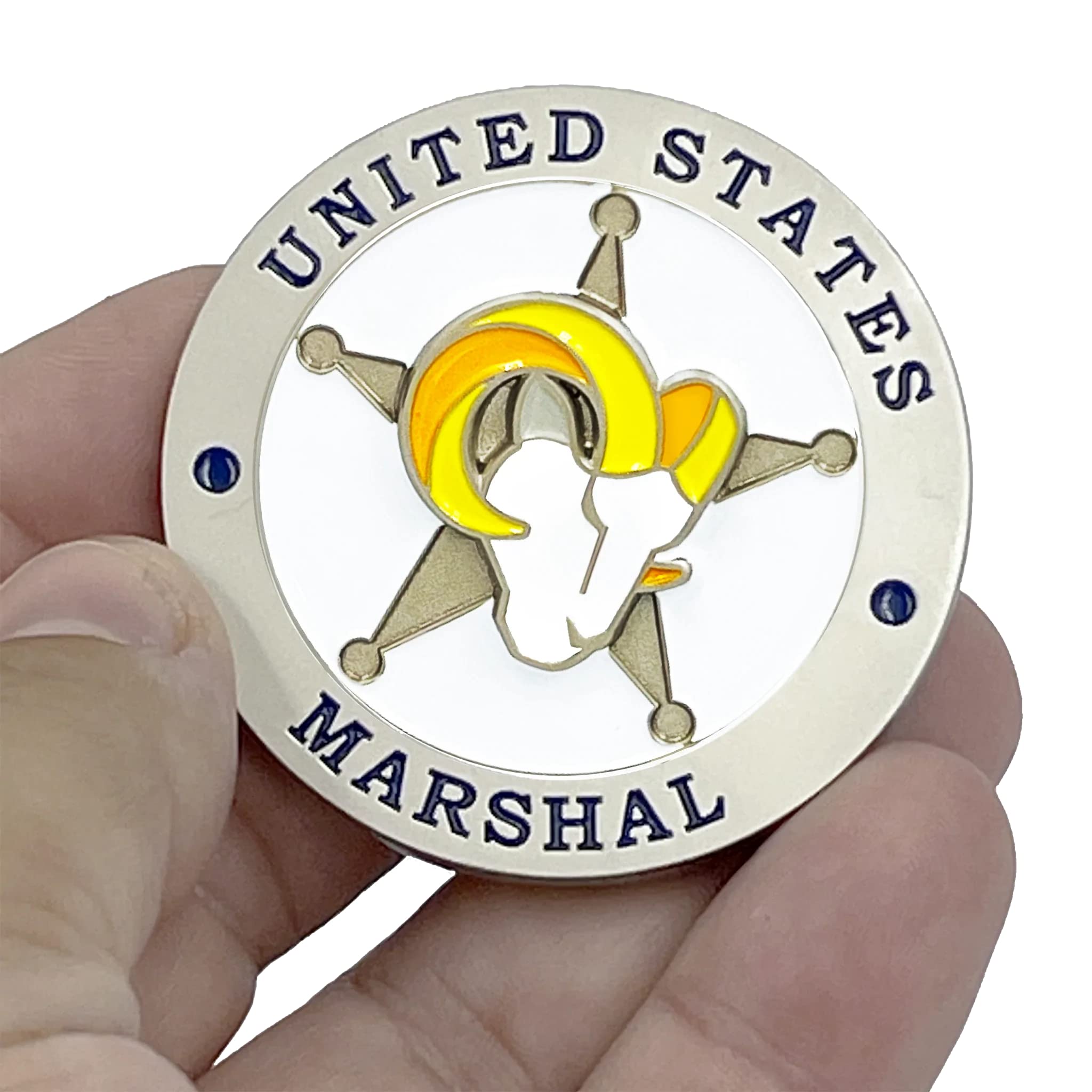 Federal Air Marshal Service Denver Field Office Challenge Coin | #4548857152