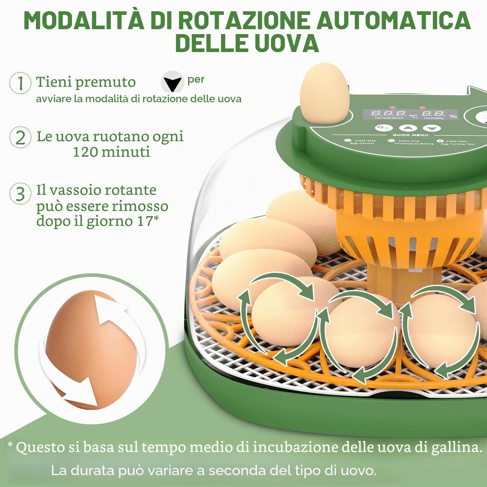 Incubatrice completamente automatica per 12 uova, incubatrice per polli con rifornimento automatico dell'acqua e voltauova automatico, controllo dell'umidità, ovoscopio per polli, anatre e uova di