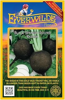 Everwilde Farms - 500 Black Spanish Round Radish Seeds - Gold Vault Jumbo Seed Packet