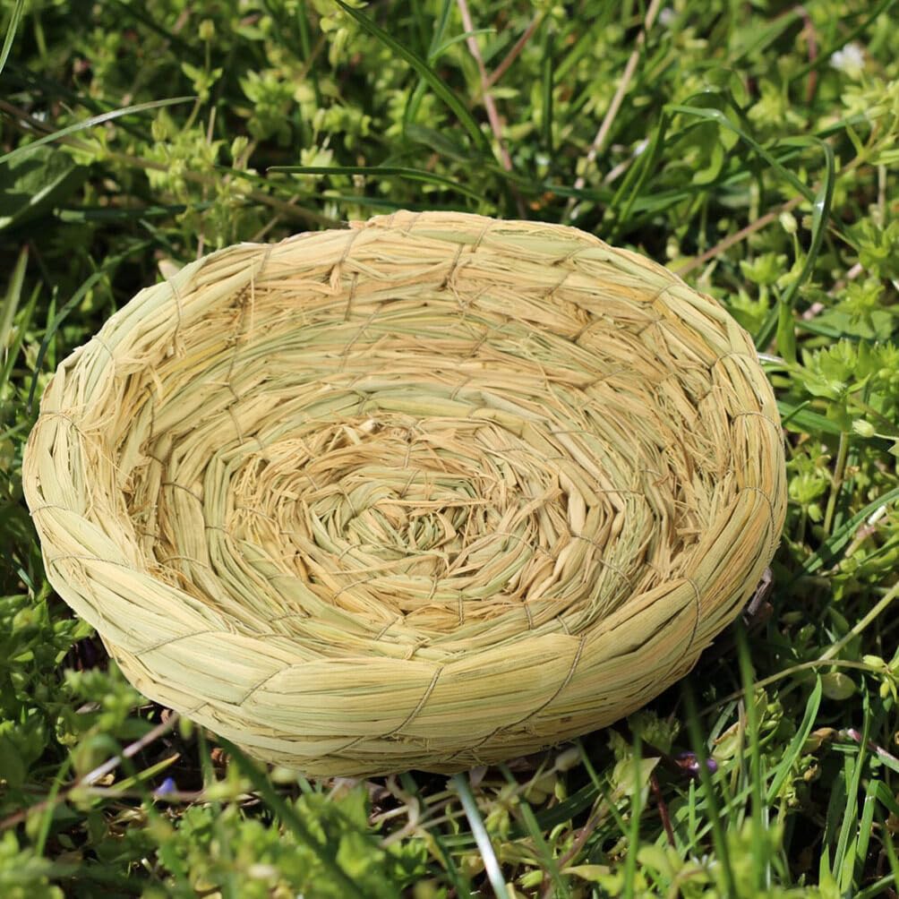 POPETPOP Nido De Pájaro Tejido Decoración De Nido De Pájaro Jaula De Pájaros Nido De Pájaro para Jaula Incubadora De Loros Nido De Palomas Presentar Tazón De Huevo El Nido del Pájaro