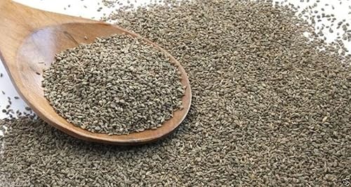 Vista 2 de 200 Seedsv Ajwain - Semilla de planta de hierbas - Carom, comino etíope - Hierba médica/culinaria - Ez para cultivar
