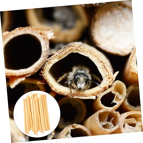 Miniatura 8 de GANAZONO 30 piezas de cañas de abejas, tubos de abejas al aire libre, suministros de abejas, tubos de anidación para abejas, tubos de recarga de