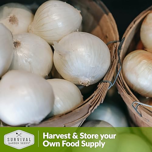 Miniatura 6 de Survival Garden Seeds - Semilla de cebolla granada blanca para plantar - Paquete con instrucciones para plantar y cultivar cebollas de día corto en