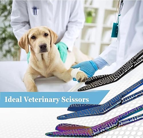 Miniatura 8 de Juego de 3 tijeras de vendaje Lister de 5.5 pulgadas, regalo ideal para enfermeras, médicos, CVT, RVT, EMT, hechas de acero inoxidable de alta