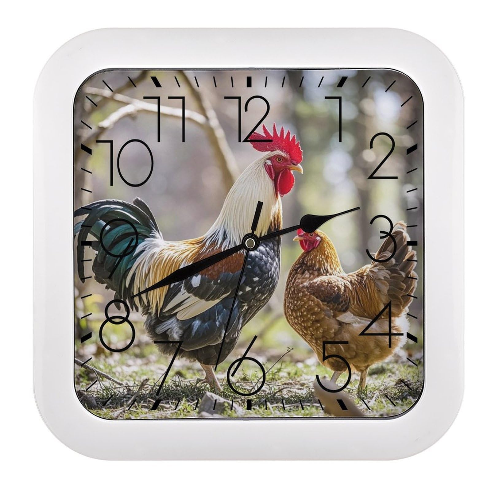 FekiLoot Square Rooster and Hen Wall Clock Decorative Battery Operated Analog Clocks Silent Non-Ticking Frame Wall Clocks Perfect Kitchen Or Office Clock 10 Inch