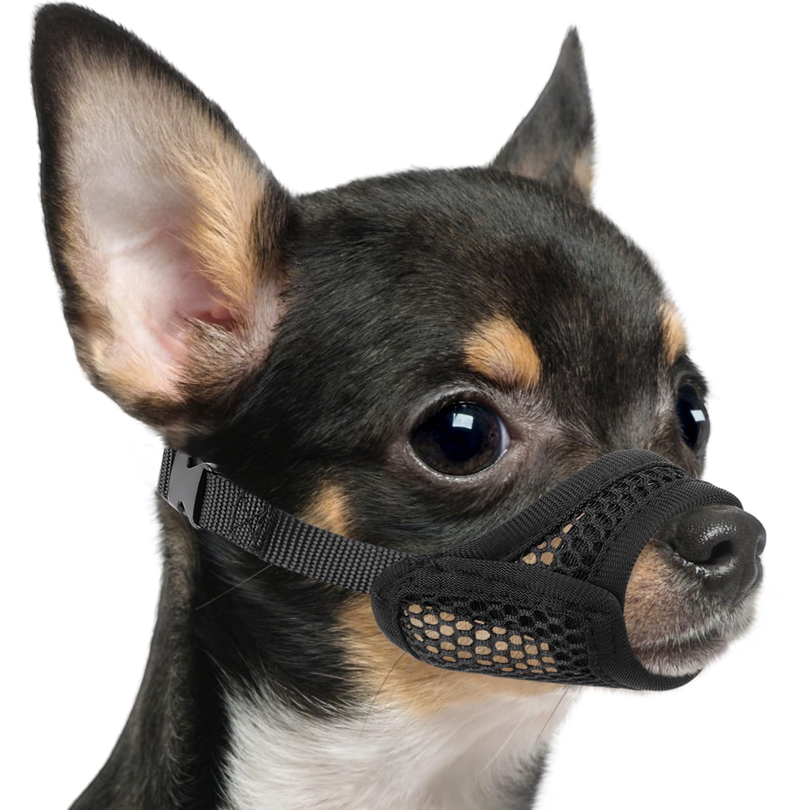 Mayerzon Mesh Muzzle for Short Snout and Small Medium Dogs Anti-Biting, Focus on Brachycephalic Dogs like Chihuahua Pomeranian, Breathable Fabric, Opening Front, Allow Panting, for Grooming Vet Visits