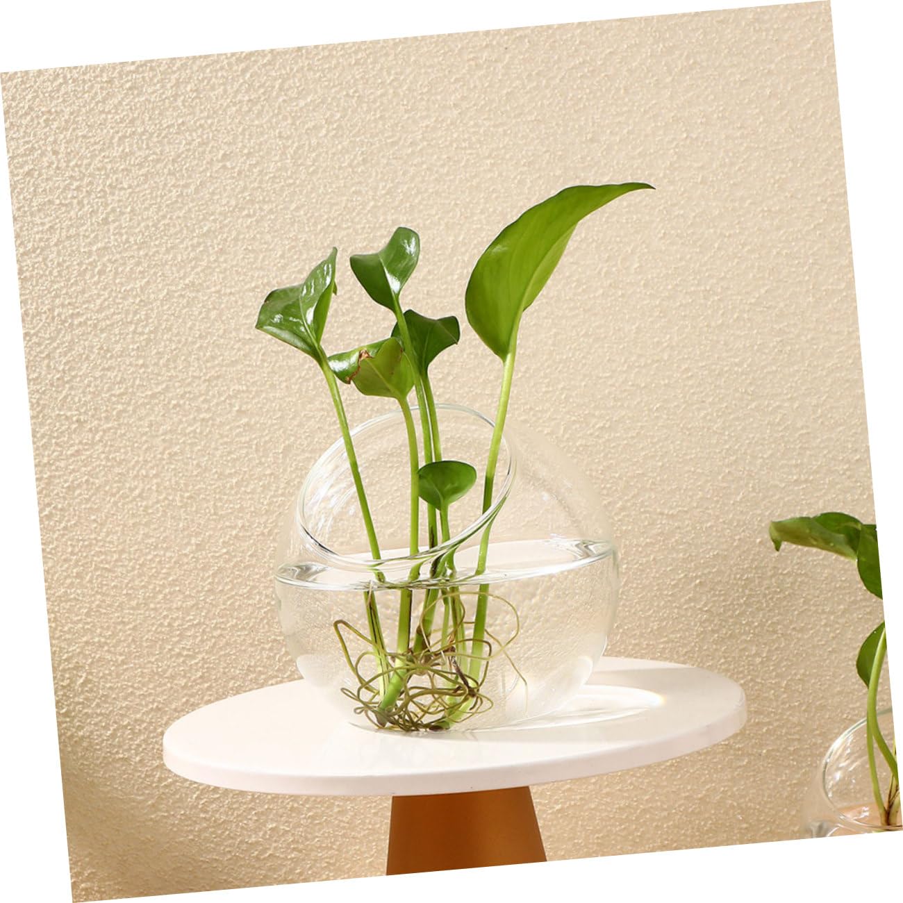 INOOMP Set da 3 Terrari in per Piante Grasse e Bromelie, Design Moderno Inclinato, Apertura Facile senza Bave, per Decorazioni Casa e Regali
