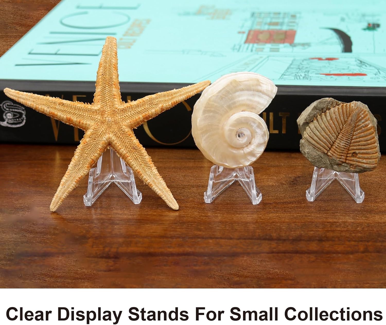 10/5/3 Pcs Clear Acrylic Coin Display Stand Holders Easel...