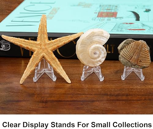 Miniatura 5 de HillSpring Paquete de 10 caballetes pequeños transparentes de 1.4 pulgadas, mini caballete de mesa de acrílico, soporte de exhibición para monedas