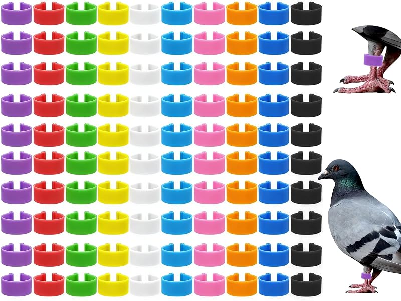 Keedolla 200 anillos para patas de codorniz de 0.315 in con 10 bandas de identificación de palomas de color para patas de aves de corral coloridas con clip para codornices, palomas, agapornis, pinzones, aves pequeñas
