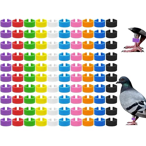 Keedolla 200 Pcs 8mm Bird Quail Leg Rings with 10 Color Bird Pigeons Identification Leg Bands Clip on Colorful Poultry Ankle Tags for Bantam Quail Dove Lovebirds Finch Small Poultry