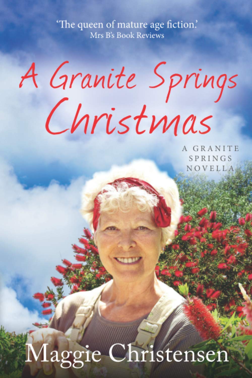 A Granite Springs Christmas: A Granite Springs Novella: 6