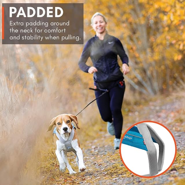 Foto 7 de 8 de Non-Stop dogwear Freemotion - Arnés 5.0 para Perros para Deportes como Correr, Ciclismo y esquí con Perros…
