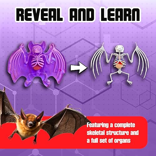 Miniatura 5 de Dissect-It Juguete de Disección de Laboratorio Sintético Simulado, Proyectos STEM para Niños, Ciencia Animal, Biología y Anatomía Kit de Aprendizaje