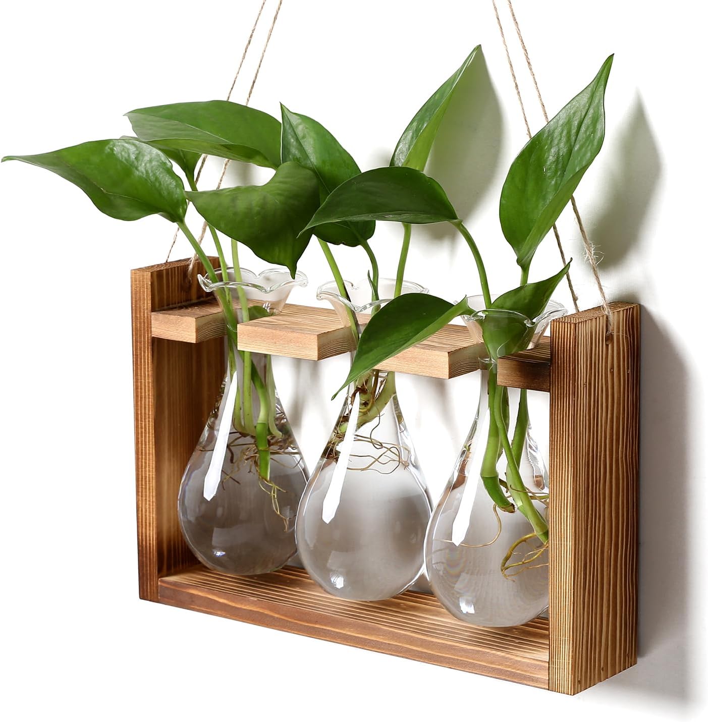Glass Plant Propagation Station Bulb Planter Vase with Wooden Stand Birthday Gifts for Women Mom Plant Lovers Office Home Decoration - Image 7