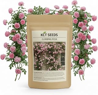 400+ Climbing Rose Seeds for Planting Outdoors - Vibrant Vine Flower, Long-Blooming Ornamental Garden Blooms, Pink