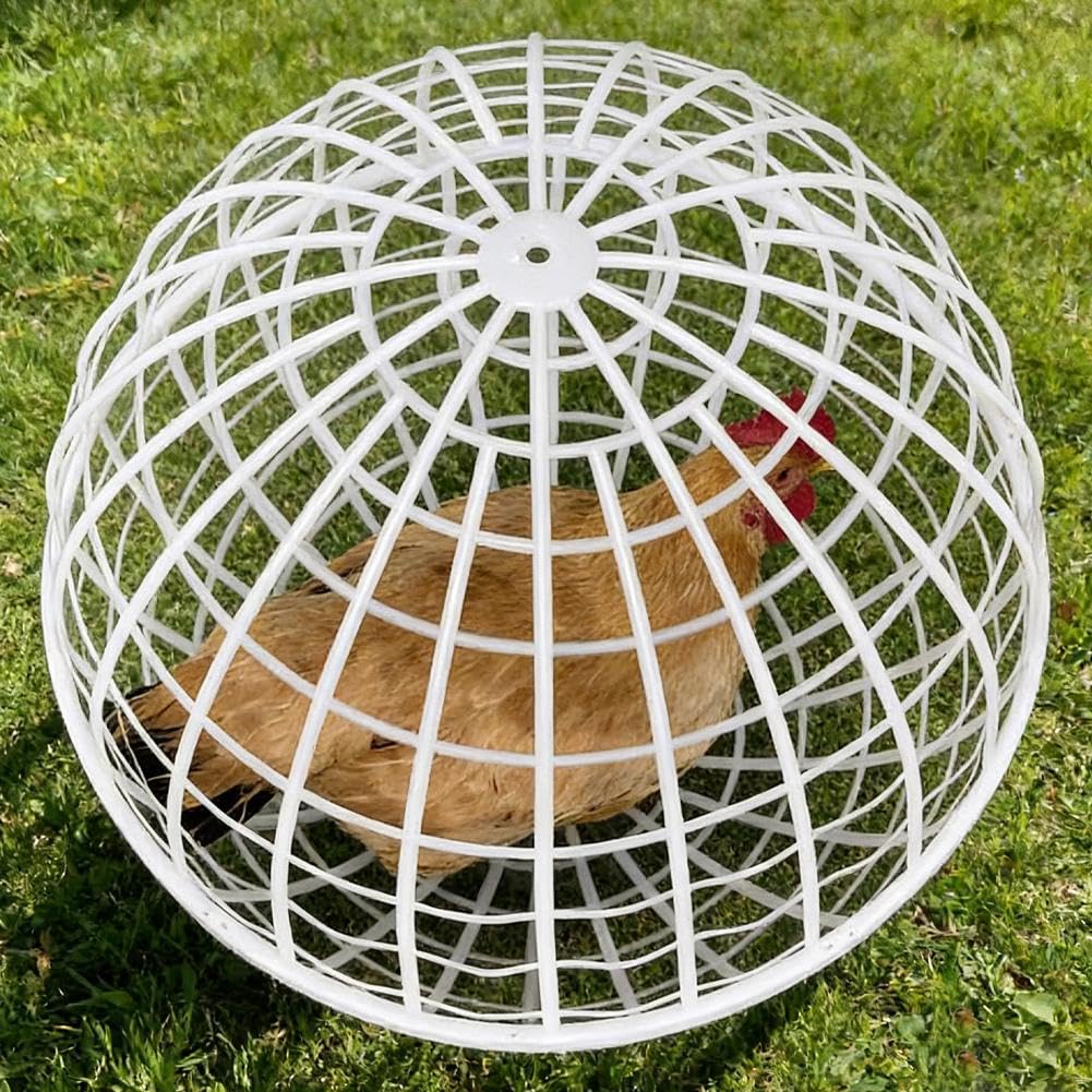3 Pack Chicken Ball Cage, Movable Rollings Safety Coop for Free Range, Plastic Detachable Orb for Chickens, Rabbits, Ducks, Birds, Prevents Dog Bites and Horse Trampling, Outdoor Farm Use — view 5