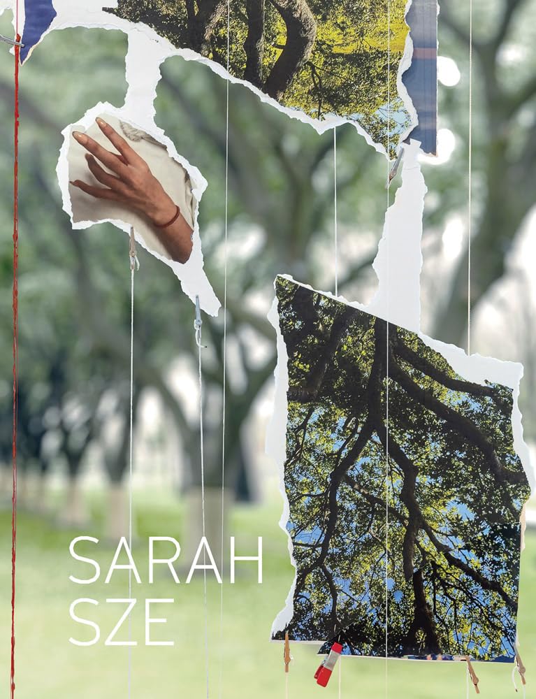 Sarah Sze by Sarah Sze, Jed Morse, Rochelle Steiner - 9781636811925