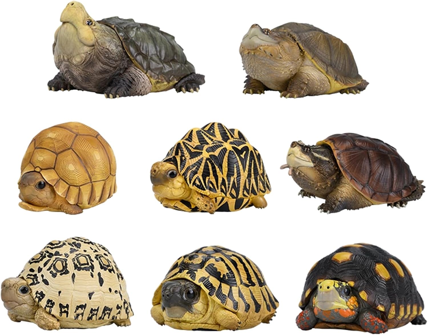 BACALYSO | 動物惑星 カメ 亀 ガチャガチャ 8CM級 ワニガメ アンゴロカ