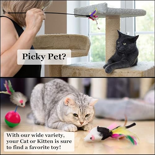 Miniatura 5 de CoCoo - Paquete variado de juguetes para hurones y gatos, juego de actividades de bolas de Mylar, juguetes para masticar, bolsas de hierba gatera,