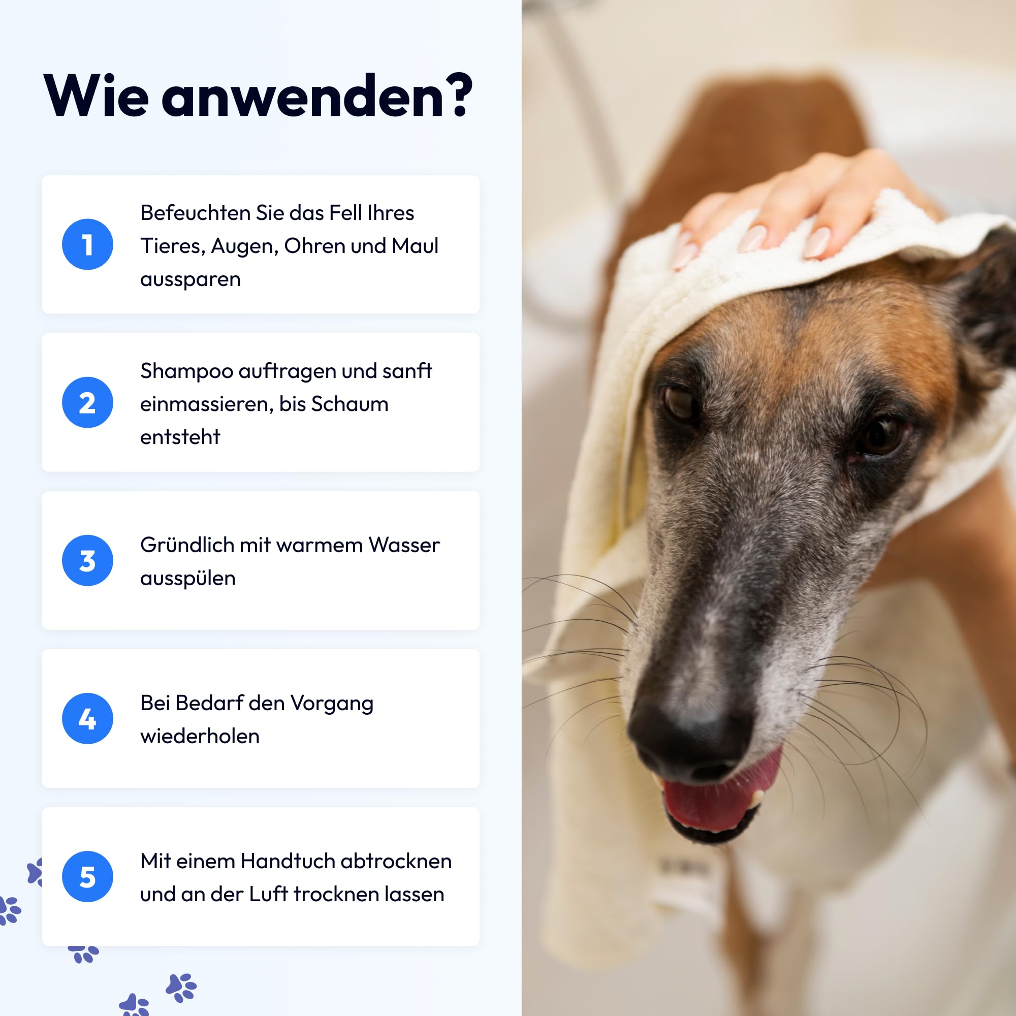 2in1 Hundeshampoo & Conditioner – Natürlich & pH-neutral – Für glänzendes Fell, leichte Kämmbarkeit & sanfte Pflege – Mit Aloe Vera, Mandelöl & Provitamin B5 – 250 ml