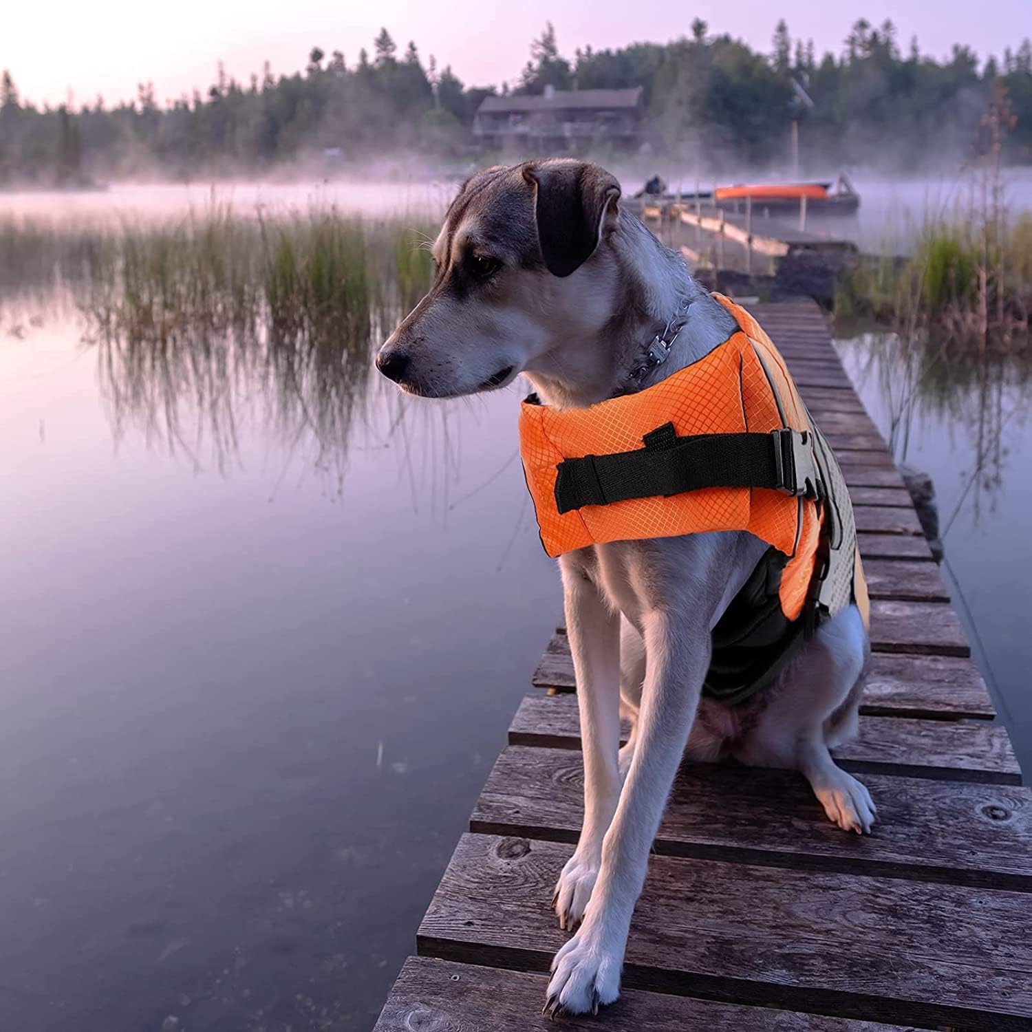 Dog Life Jacket Swimming Vest Lightweight High Reflective Pet Lifesaver with Lift Handle, Leash Ring Orange,L