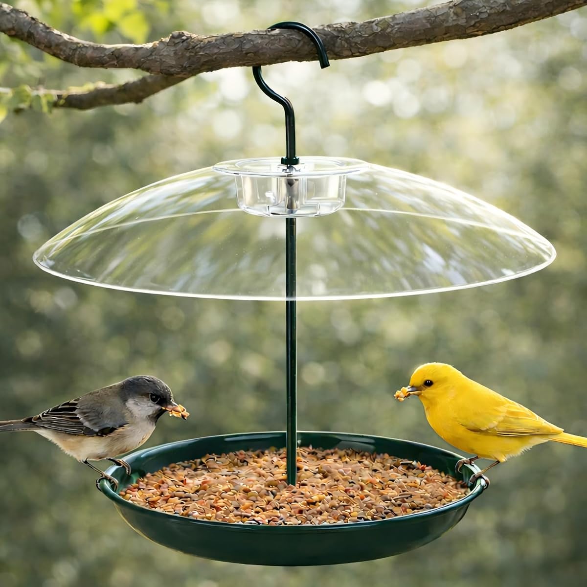 Platform Bird Feeder for Outdoors Hanging with 12” Weatherproof Dome, Squirrel-Resistant Metal Tray, 2 Lbs Seed Capacity, 360° Multi-Bird Feeding, Green