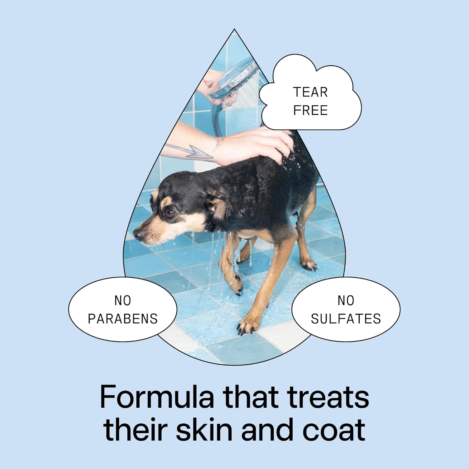 DedCool Pet Shampoo | 01 Taunt | Gentle Cleanser for Dogs & Cats | Plant-Based Formula for Soft, Fresh Coats | Sulfate-Free, Dye-Free | Vegan | 16.9 fl oz
