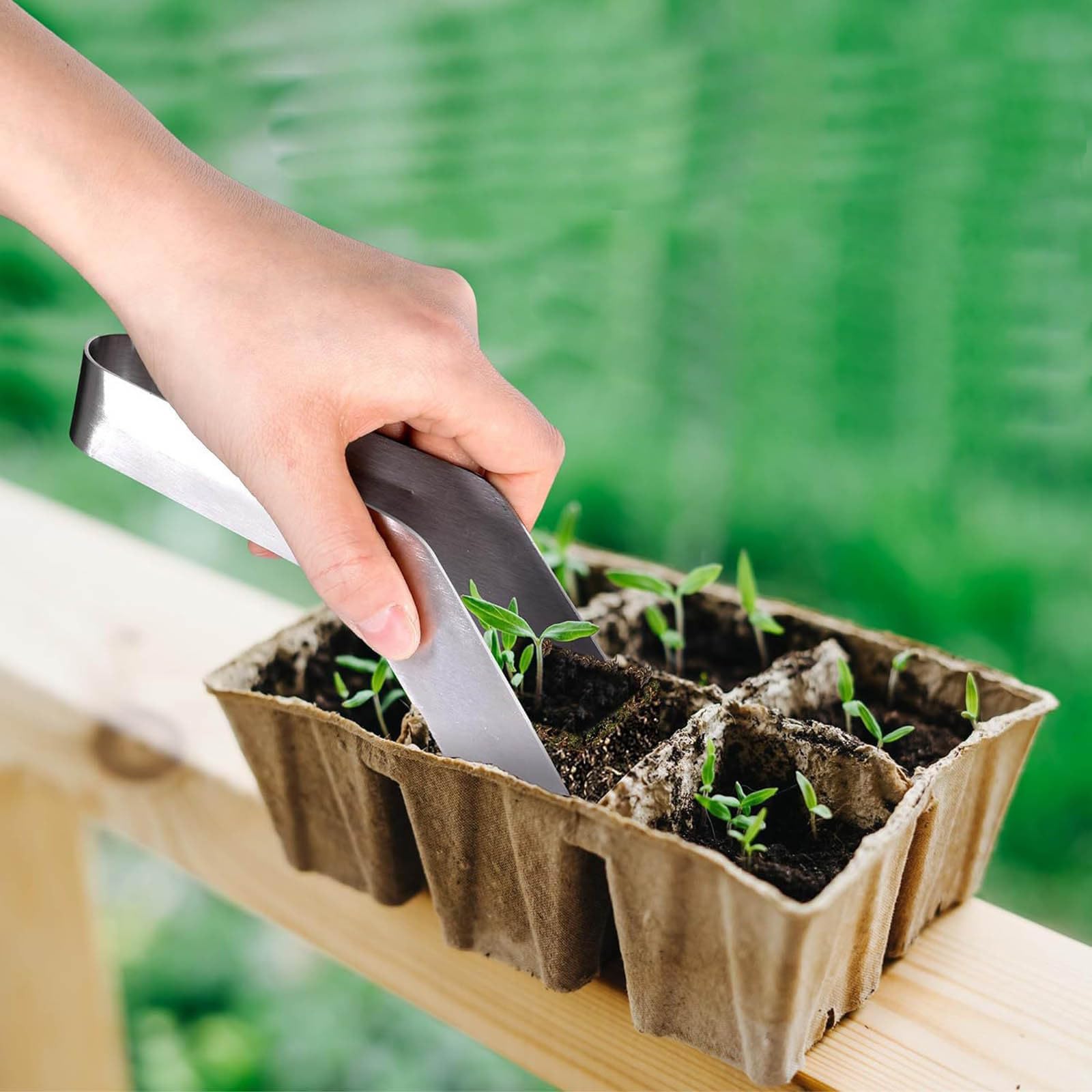 Stainless Steel Seedling Transplant Tongs, Gardening Tools for Reducing Root Damage, Rustproof Plant Pliers with Smooth Handle for Indoor/Outdoor Use (8.6Inch)