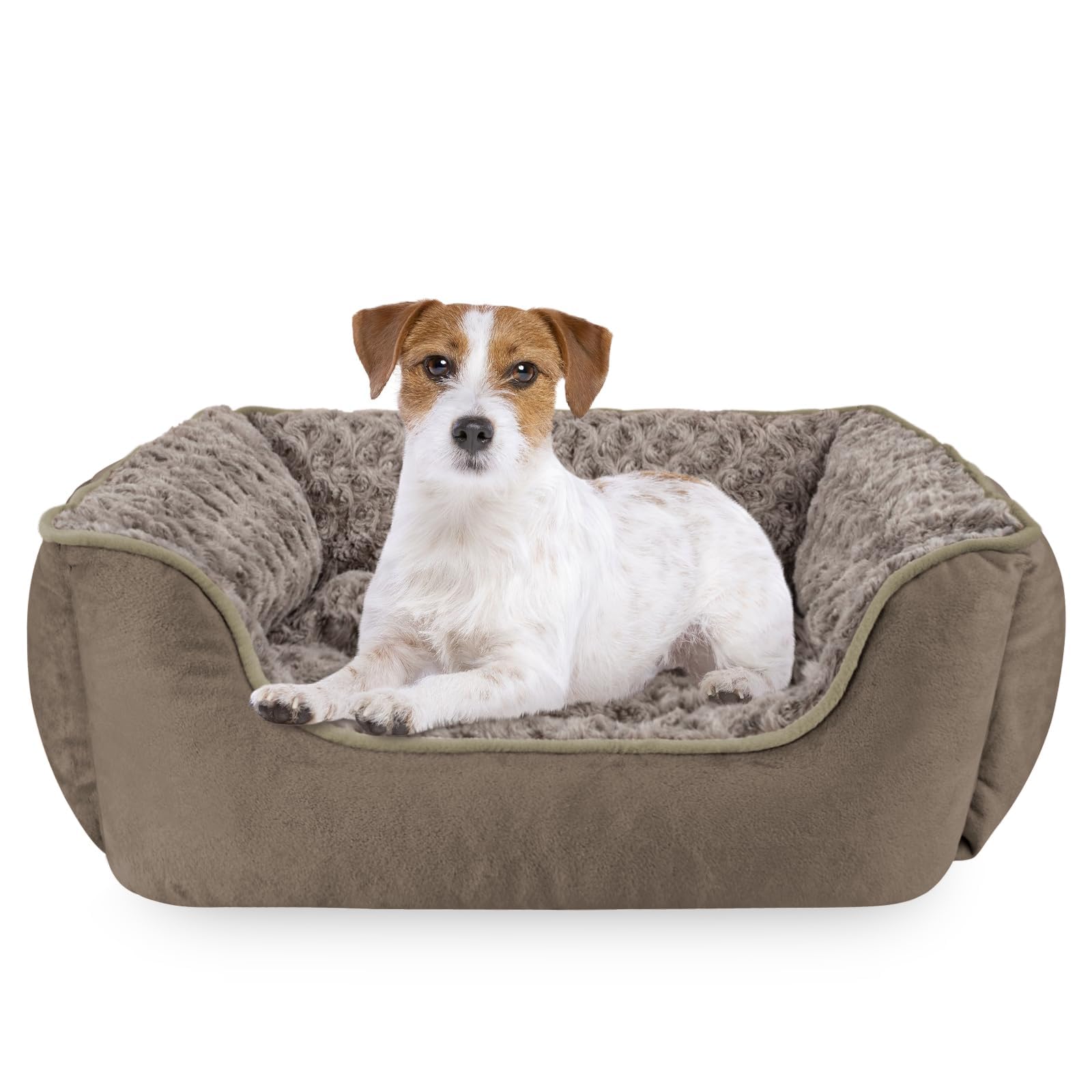 JOEJOY Dog Bed Medium - Washable Rectangle Dog Beds, Anti-Anxiety, Soft Plush Non-Slip Bottom Pet Bed - Small | Medium | Large Size Mattress Mat, Dark Brown