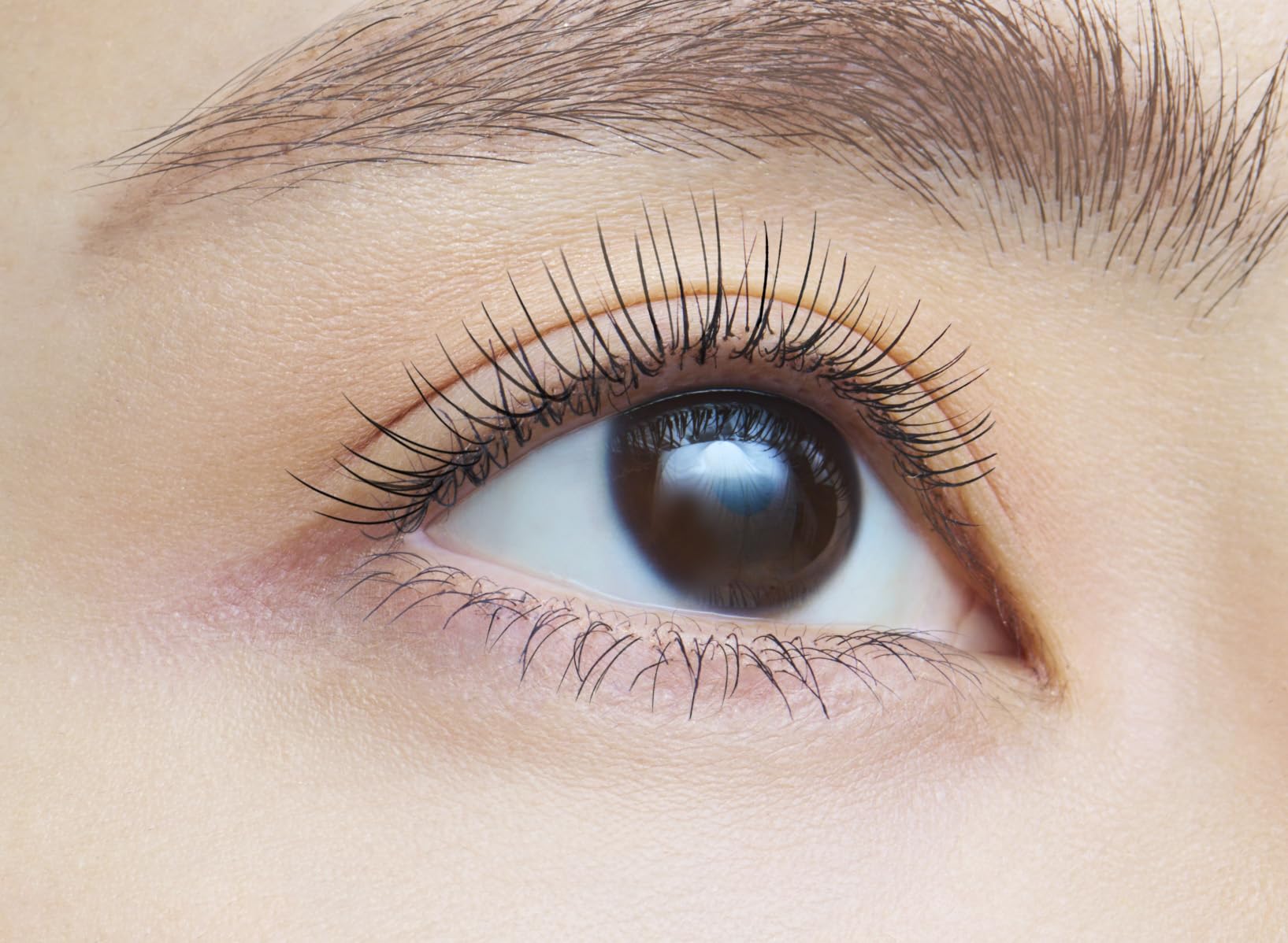 Amazon.co.jp: dejavu Dejavu Paint-on False Eyelashes Long Type