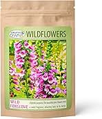 Foxglove (Digitalis Purpurea) – 62,700 Non-GMO Seeds | Easy-to-Grow Pollinator-Friendly Biennial Wildflower | Shades of Purple, Pink, & White Blooms