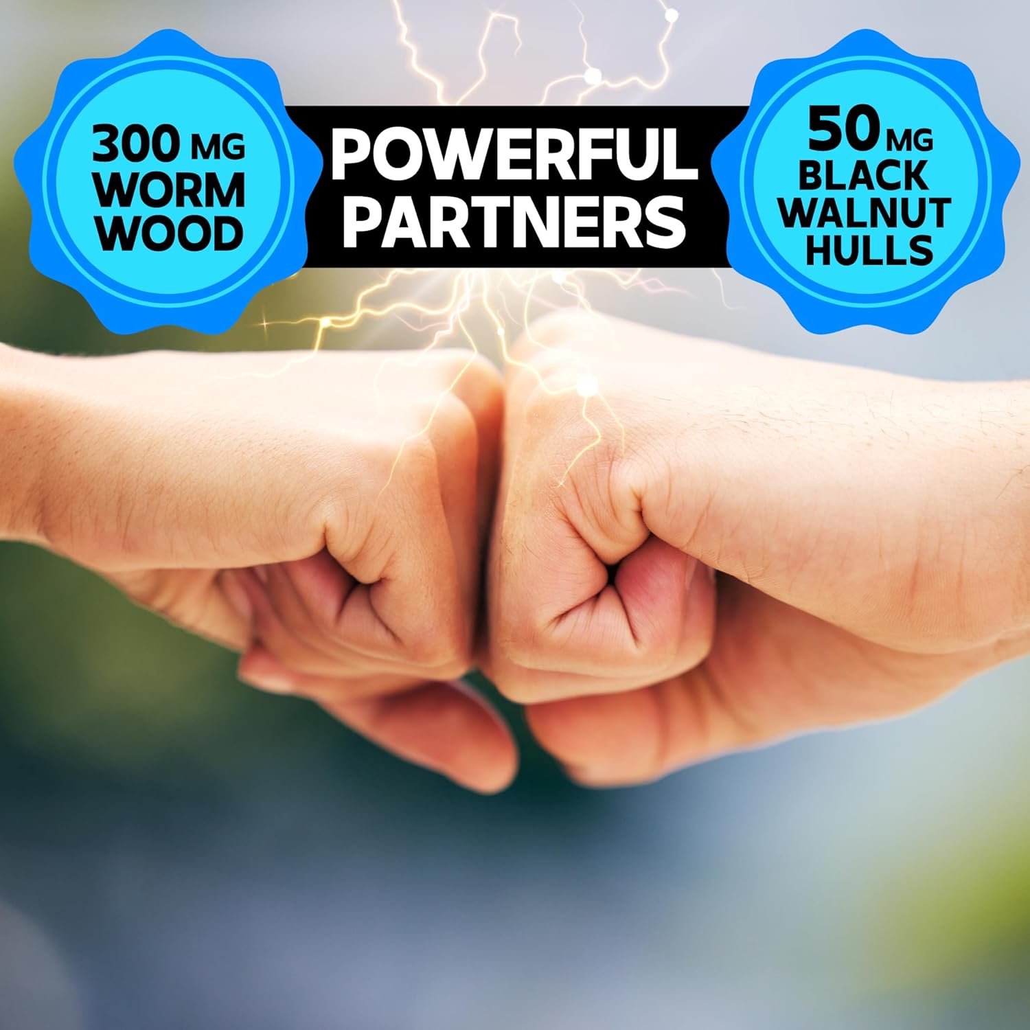 DEDICAD Premium Wormwood Extract Capsules - 5 Month Supply for Immune - 12 Herbs Blended with Black Walnut Leaves, Ginger, Turmeric & More - 150 Counts