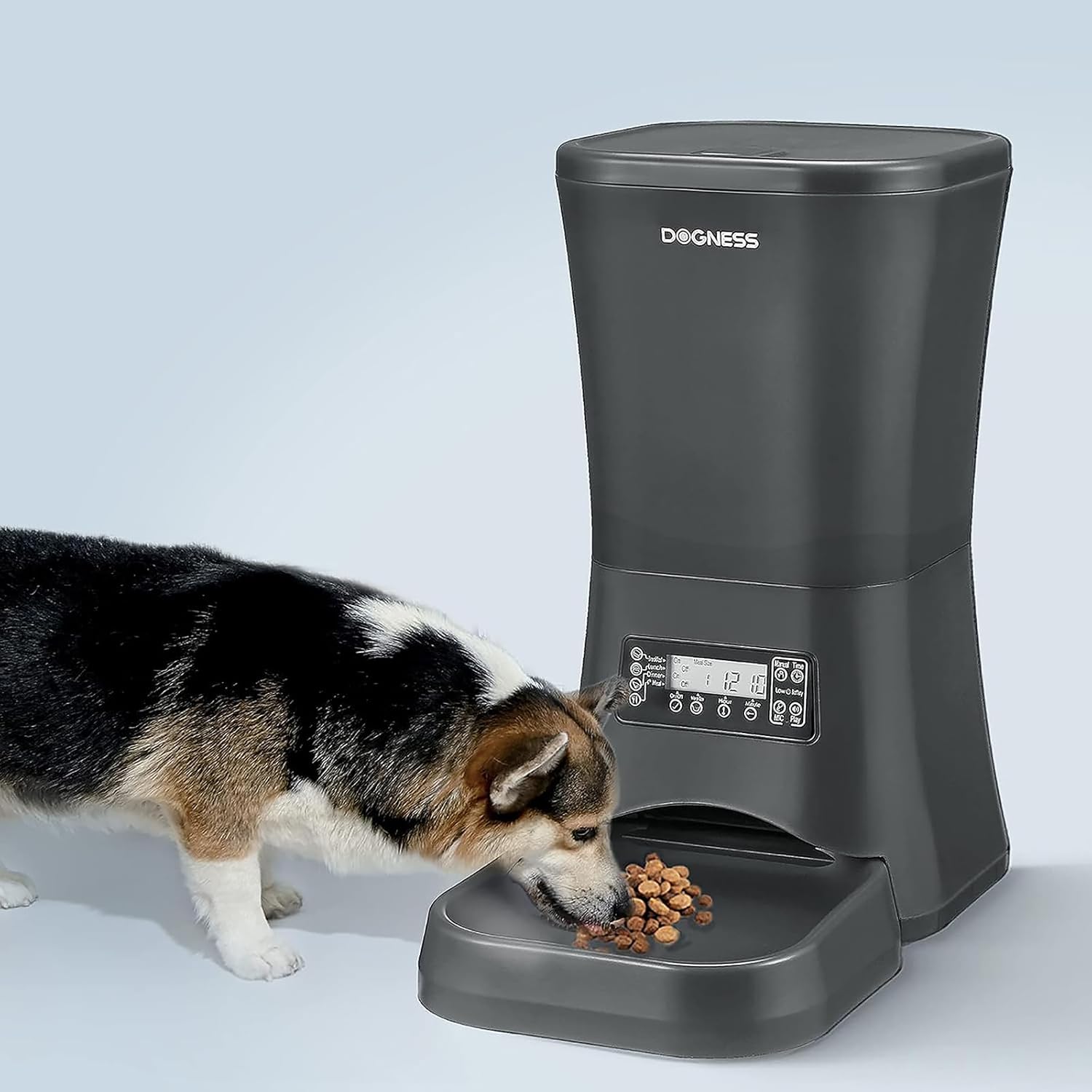 Dog eating from DOGNESS Automatic Feeder