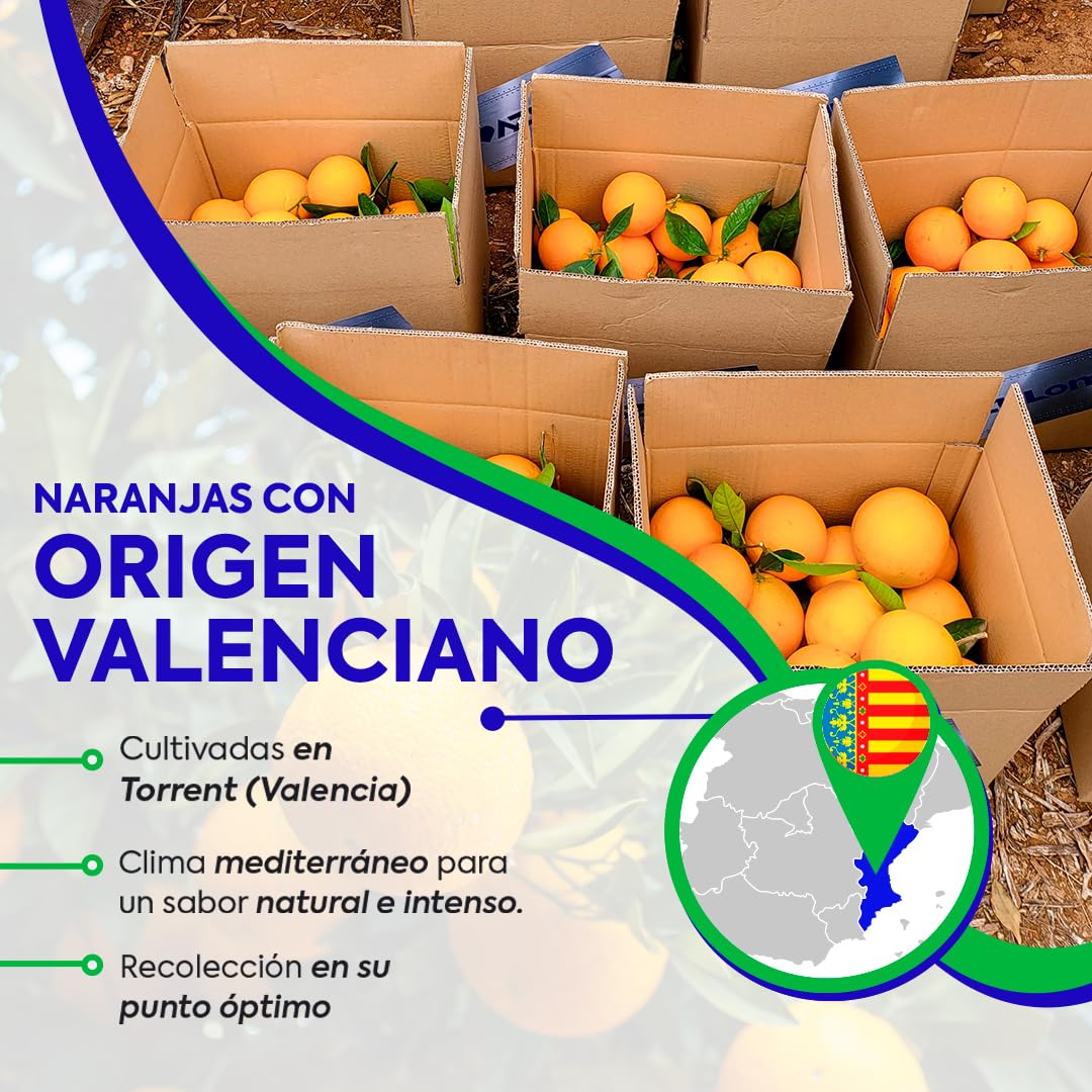 Naranjas de Valéncia directas del árbol recién recolectadas - del árbol a tu mesa sin tratamientos post cosecha - cajas de 5, 9, 15 y 19kg - fruta natural valenciana - naranja de mesa (9KG)