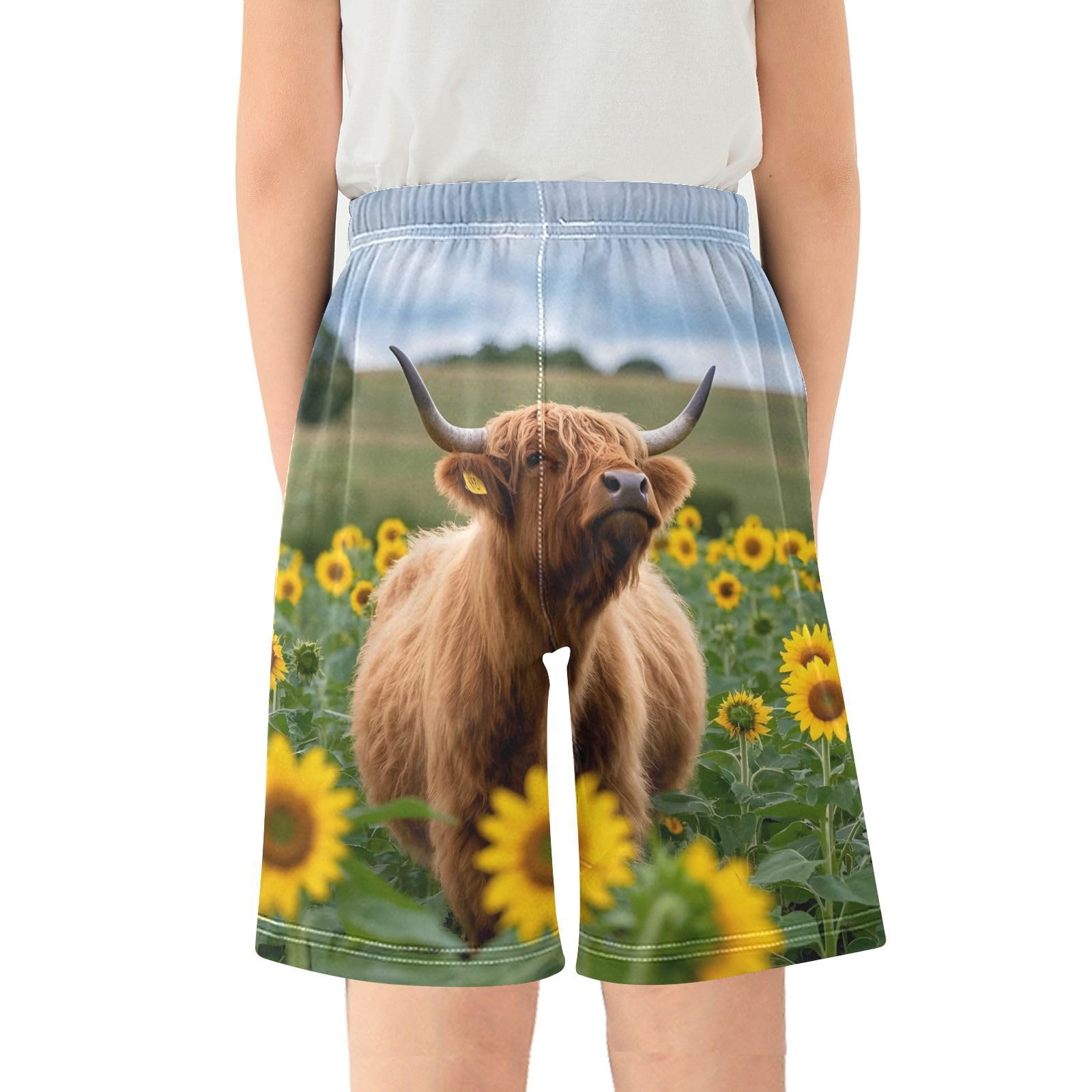ALAZA Highland Cattle Sunflower Field Boys Athletic Shorts Kids with Pockets Shorts for boy Girl Size 6-8 Years Multicolor