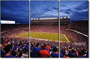 Chicago Bears Football From Above New Soldier Field Poster Print - A – Sports Poster Warehouse