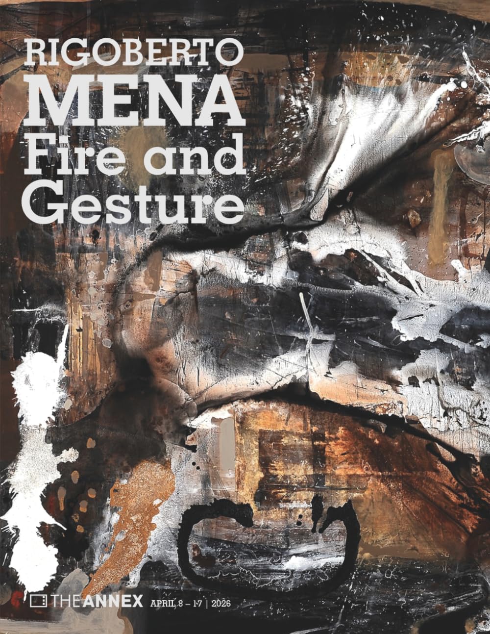 Rigoberto Mena Fire and Gesture beau livre pour décorer un salon élégant