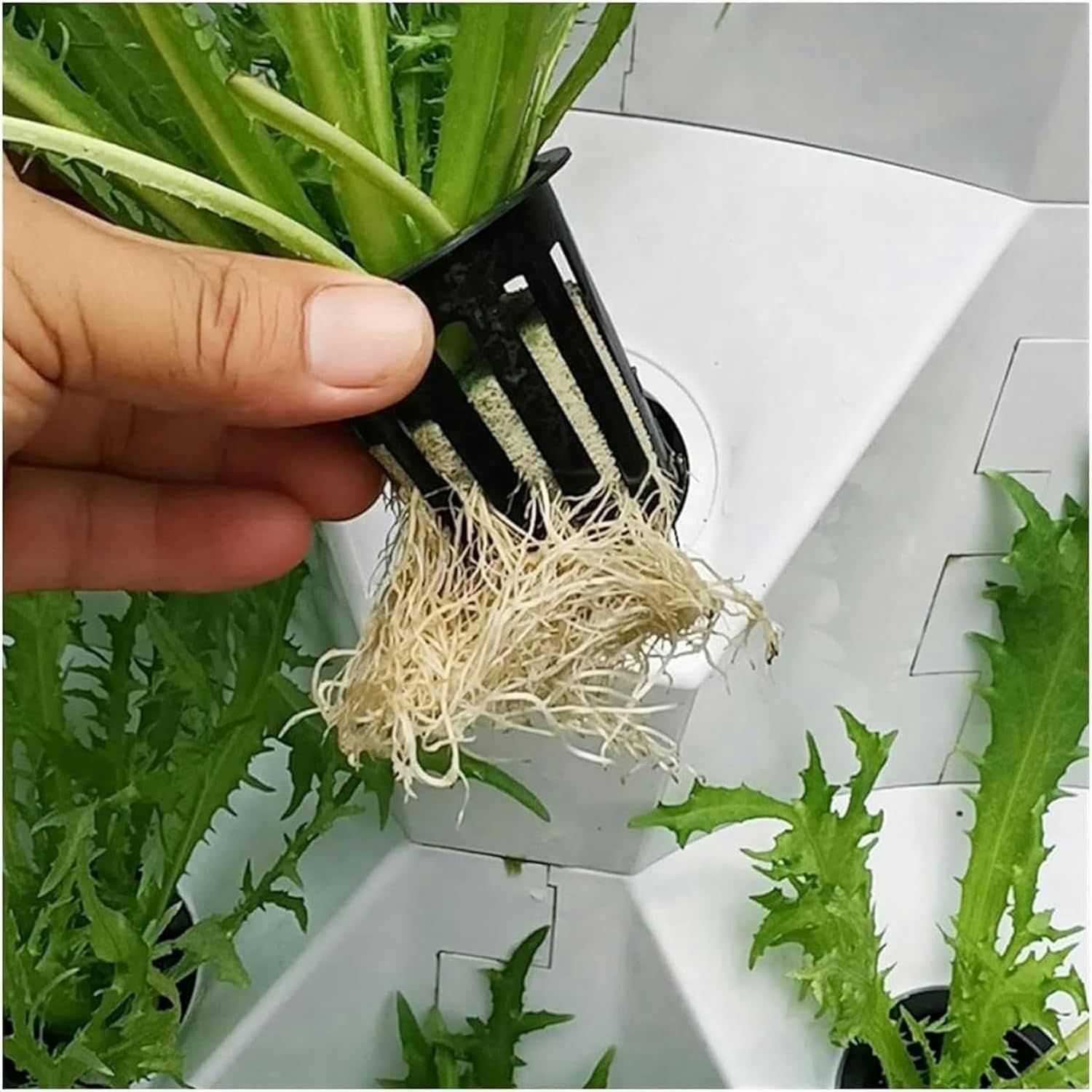 Arrosage Automatique Kit de Culture hydroponique Vertical Intelligent for Ananas, Tour de Culture intérieure et extérieure for Herbes et légumes(10 Layers)