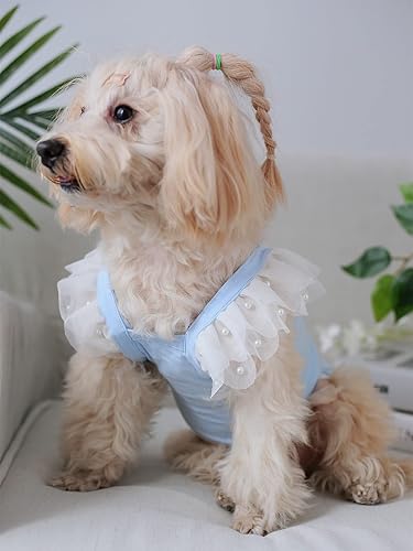 Miniatura 3 de QWINEE Linda camiseta sin mangas para perro, decoración de cereza, manga de perlas de encaje, para gatos, cachorros, camiseta elástica para